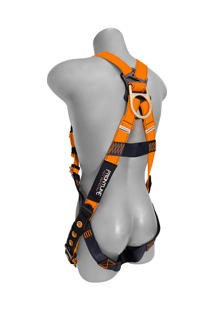 Frontline 100VTB Combat economy harness, back view with dorsal D-ring