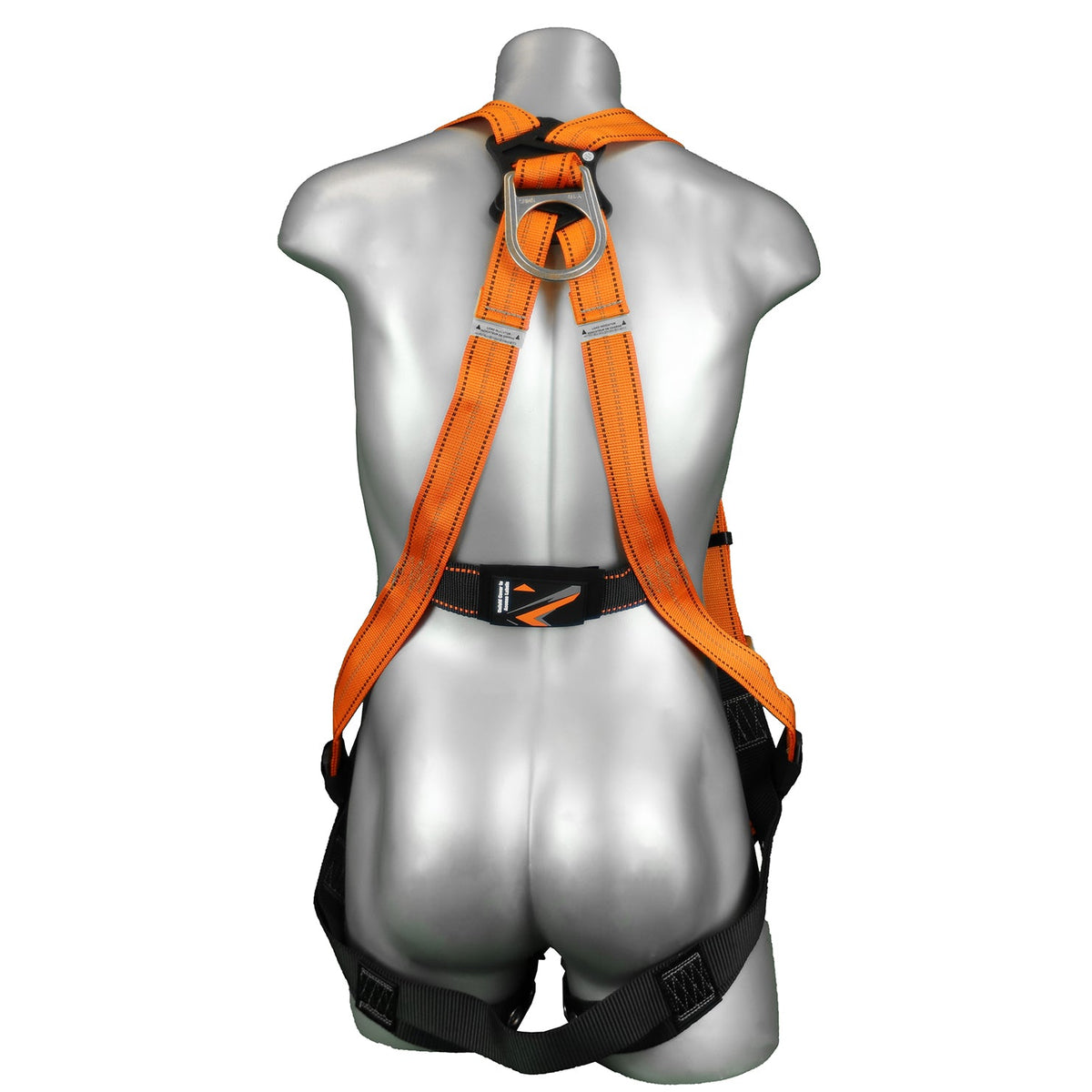 Malta Dynamics Warthog harness, back view with dorsal D-ring