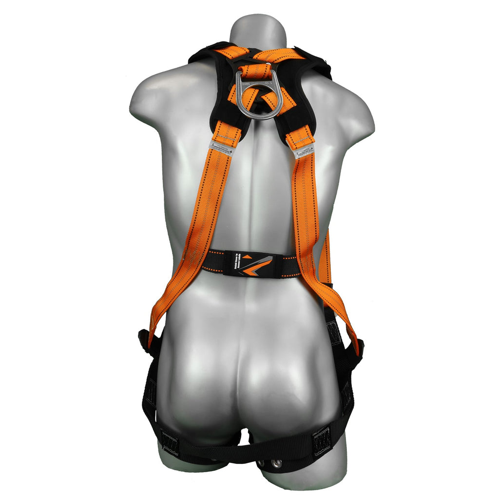 Malta Dynamics B2002-X Warthog T&B harness with X-Pad, back view with X-Pad