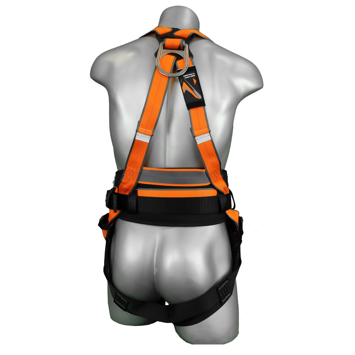 Malta Dynamics B2102 Warthog MAXX Belted harness, back view