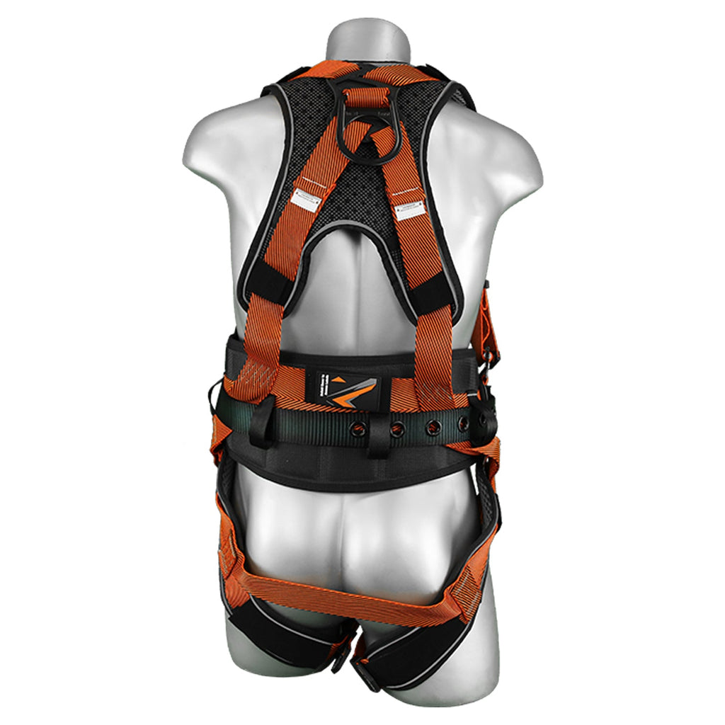Malta Dynamics B2202 Warthog Comfort MAXX Belted harness, back view