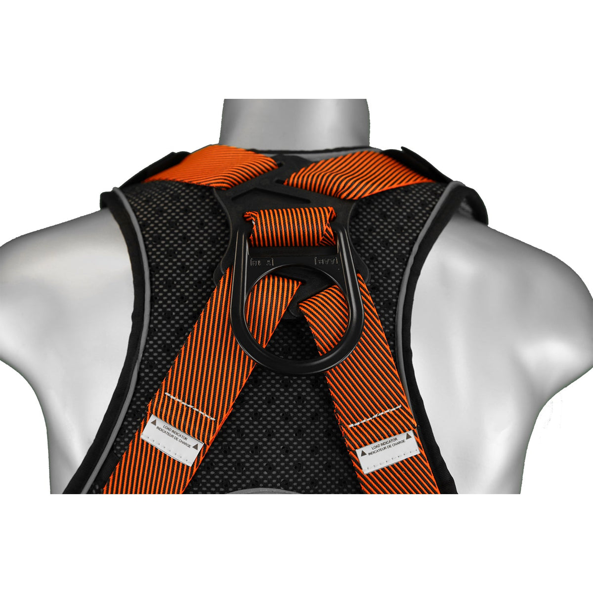 Malta Dynamics B2202 Warthog Comfort MAXX Belted harness, back padding detail